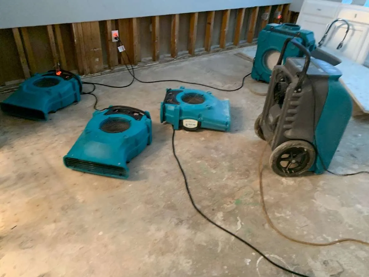 Water Damage Restoration services in Chippewa, PA